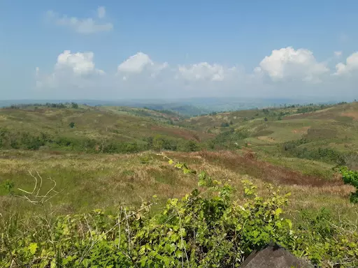 120 hectares Lot for Sale in Bayawan City Negros Oriental — Agricultural Lot in Negros Oriental, Philippines — Photo 3