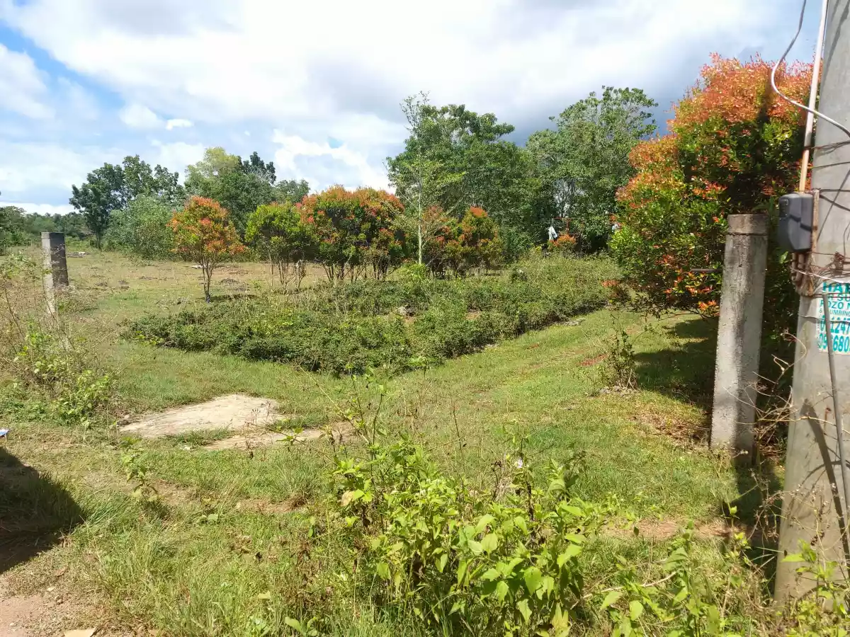 Lot For Sale in Panglao Bohol - photo 4