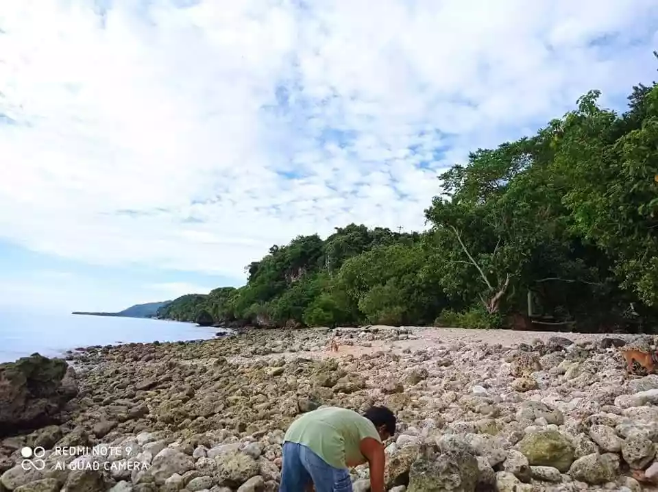 Virgie Kintan — Beach Lot in Boljoon, Cebu, Philippines — Photo 3