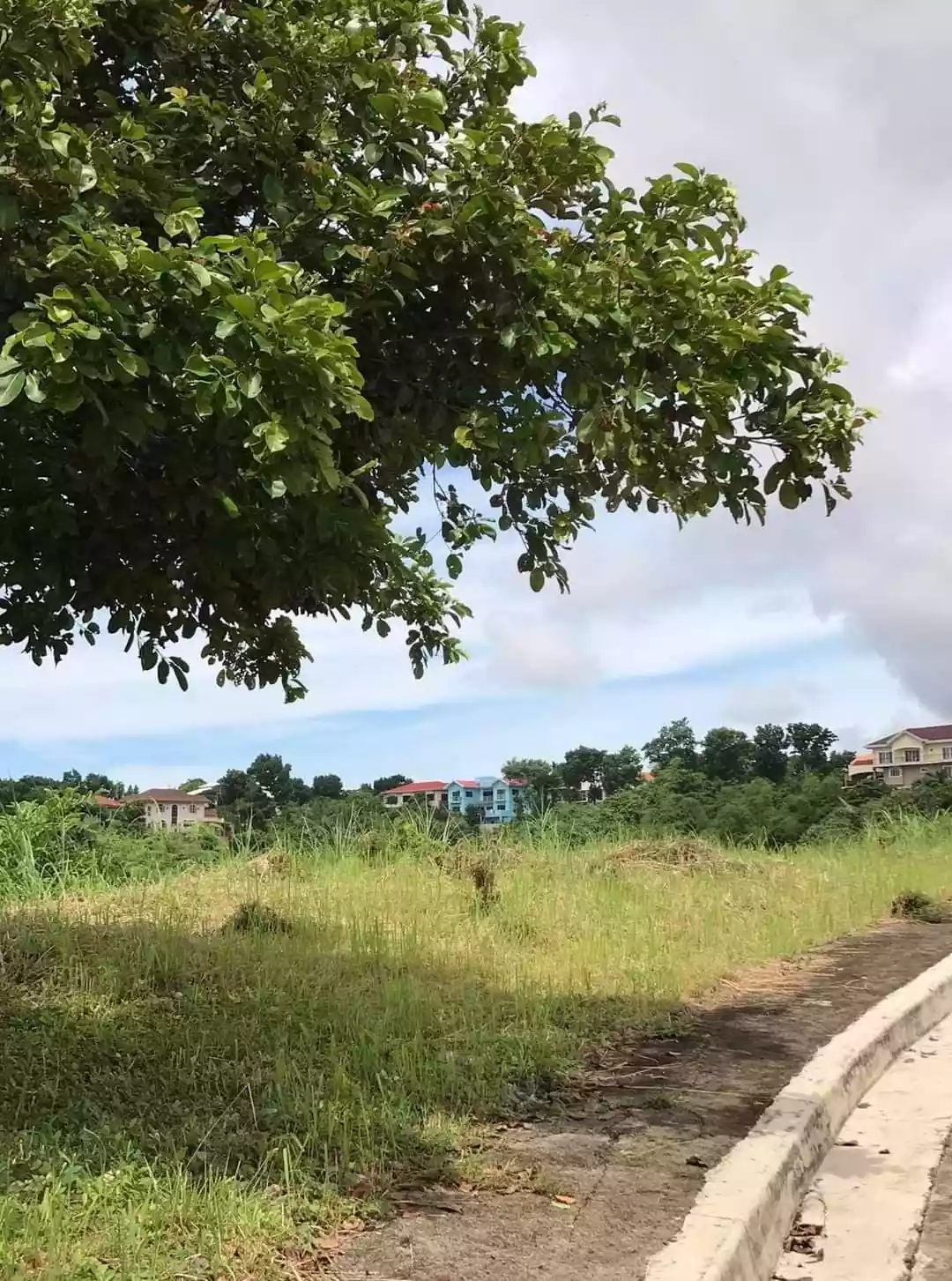 Pacific Heights Cebu - photo 7