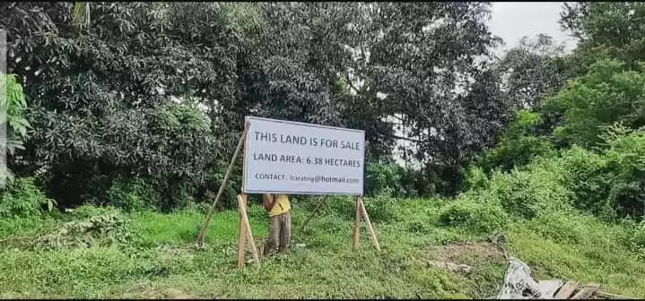 Agricultural Land For Sale in Dolo, Bansalan - photo 6