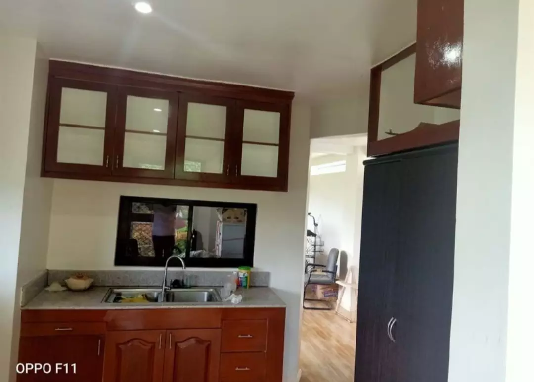 Farm Lot with 2Storey House in Balamban - photo 3