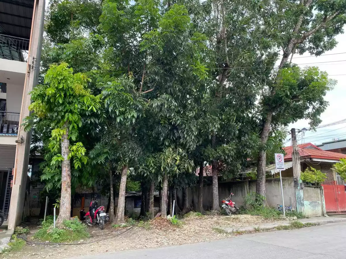 Lot for sale — Commercial Lot in Tagbilaran City, Bohol, Philippines — Photo 2