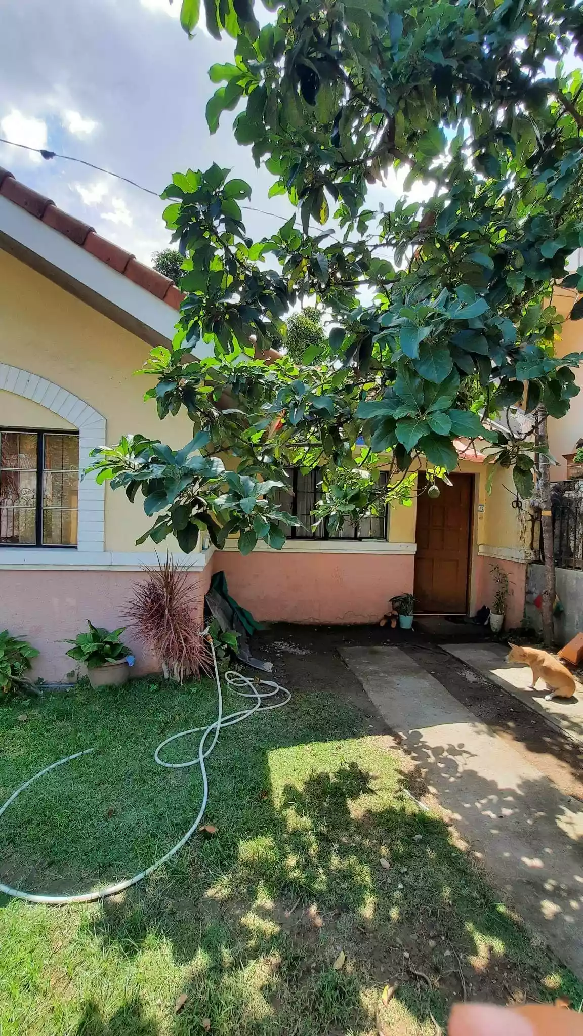 For Sale Bungalow House and Lot in Maghaway Talisay — House and Lot in Talisay, Cebu, Philippines — Photo 4