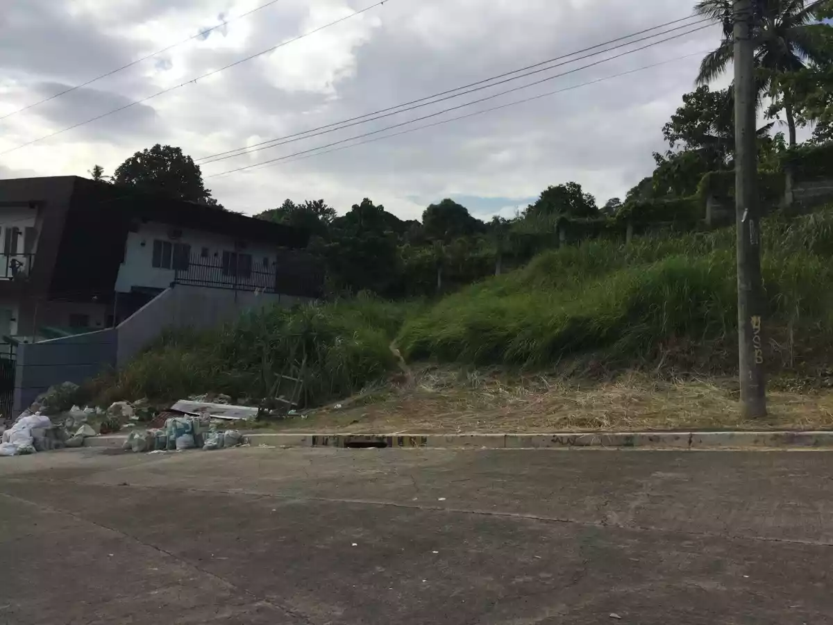 Titled lot inside Pacific Heights subdivision Barangay Bulacao - photo 3