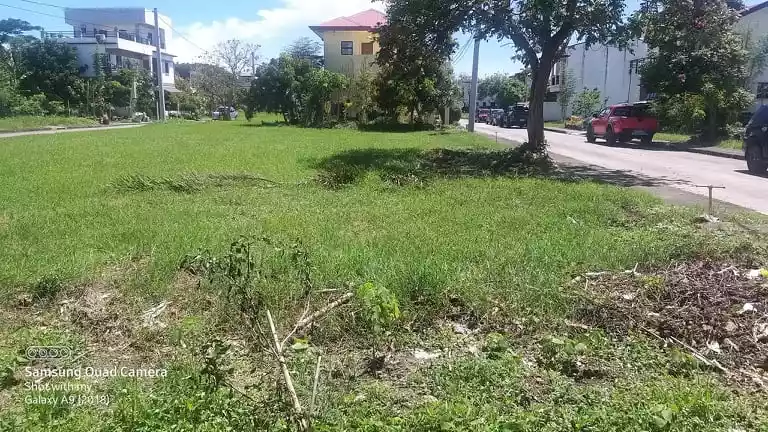 RUSH SALE CLEAN TITLED COMBINED RESIDENTIAL LOT JUST 15 TO 20 MINUTES AWAY FROM MALL OF ASIA & AIRPORT - photo 4