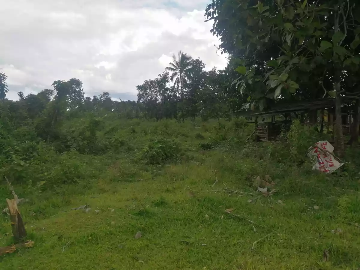 400sqm Lot for Sale — Agricultural Lot in Calinan District, Davao City, Davao del Sur — Photo 5