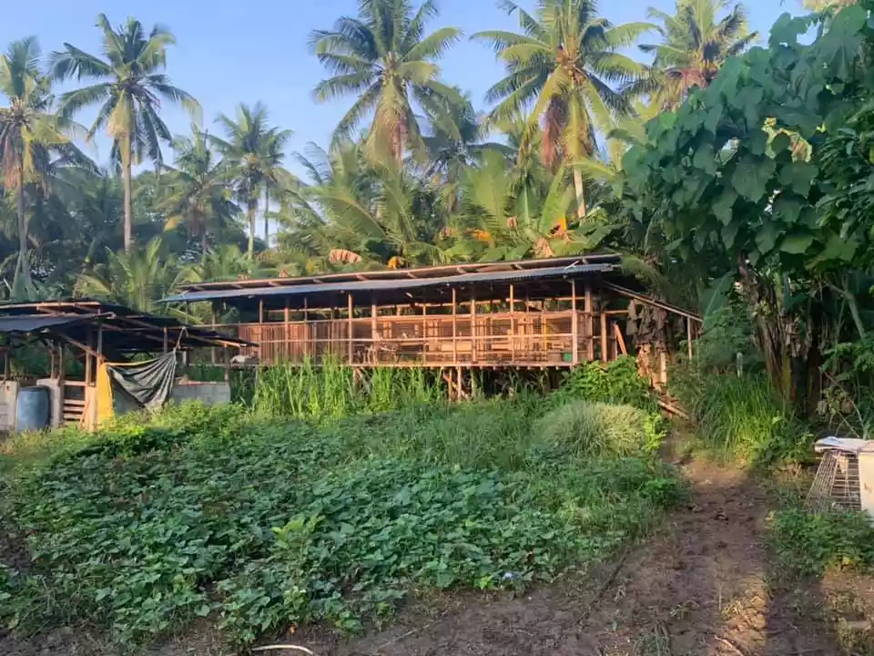 Mini Farm with Concerete House and Livestock Houses and Pens - photo 2