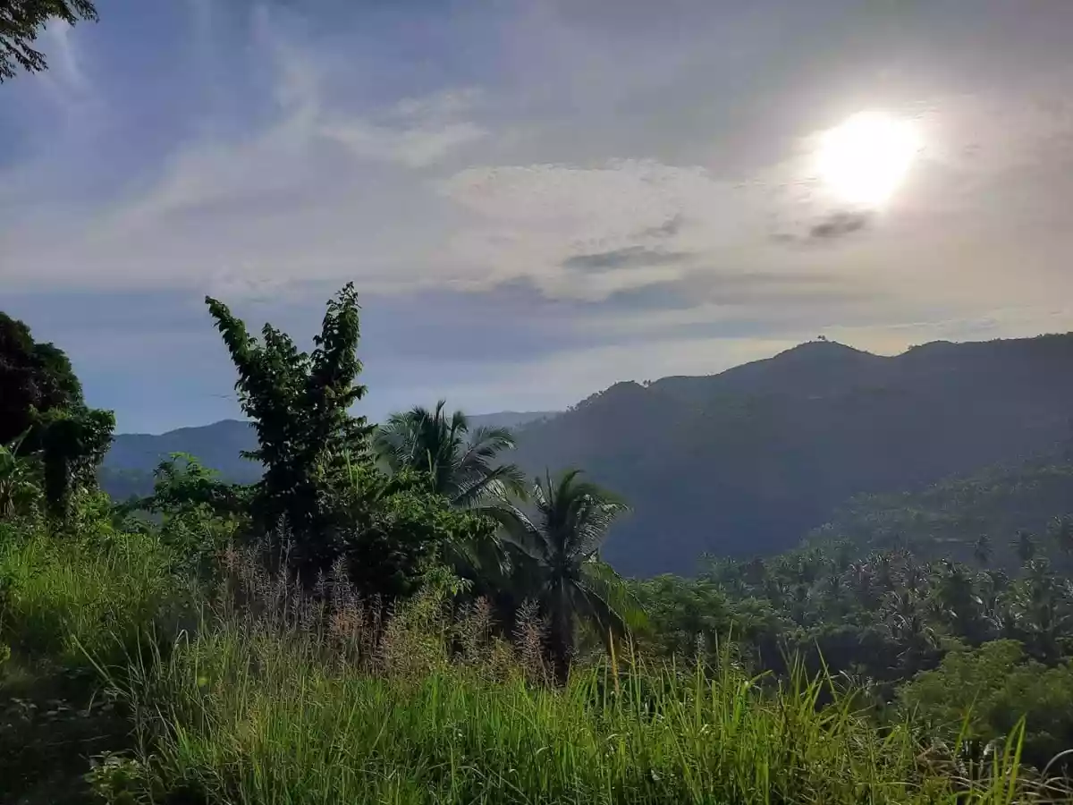 Agricultural land in Bairan Naga for sale