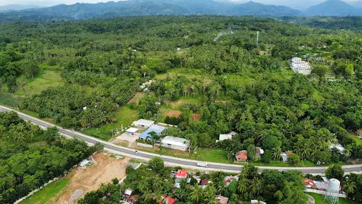 1.2 hectares commercial Lot For Sale in Initao, Misamis Oriental — Commercial Lot in Butuan - Cagayan de Oro - Iligan Road, Initao, Misamis Oriental — Photo 5