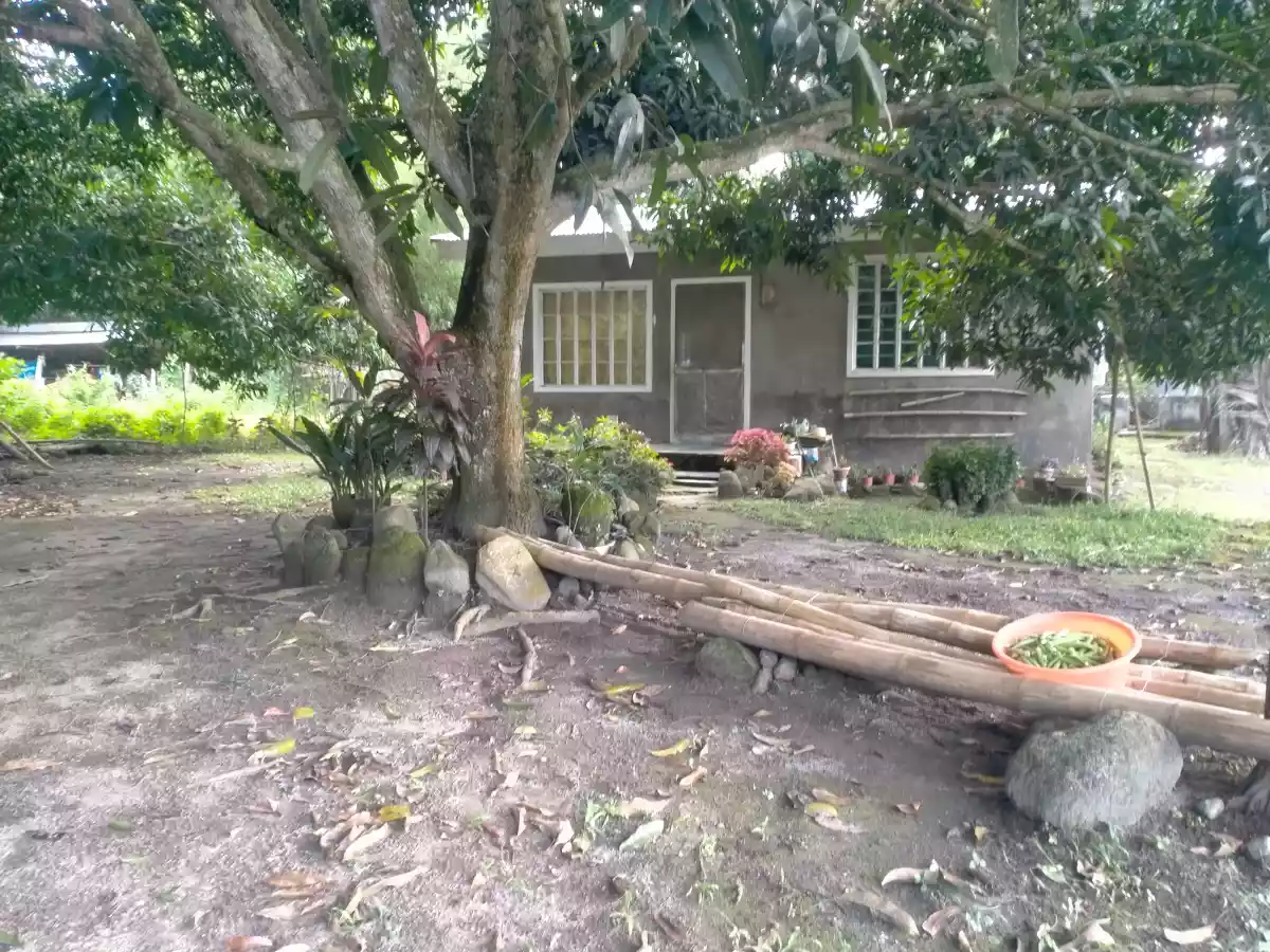 House and Lot For Sale in Banilad, Bacong, Negros Oriental 