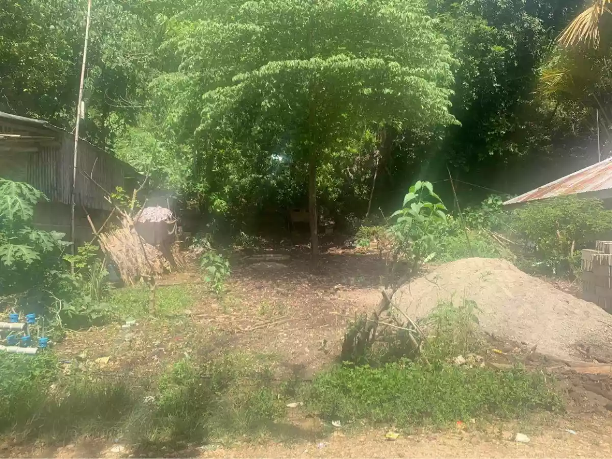 Lower Kiam-is Lumbia residential lot - photo 6