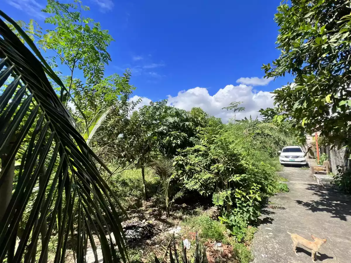 PRIME LOT IN CANJULAO, LAPU-LAPU CITY, CEBU — Residential Lot in Lapu-Lapu City, Cebu, Philippines — Photo 3