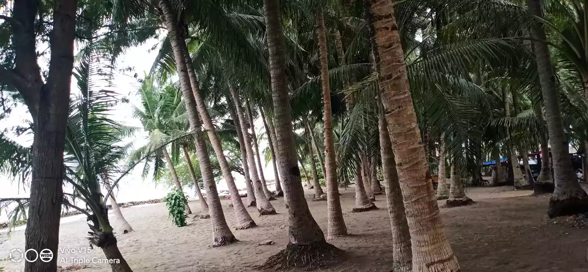 COMMERCIAL/BEACH LOT FOR SALE IN DANAO CITY - photo 3