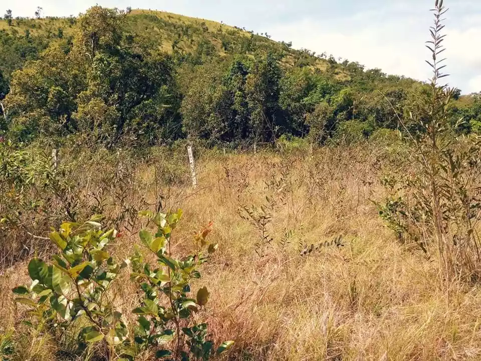 RESIDENTIAL LOTS FOR SALE IN CORON, PALAWAN — Residential Lot in Palawan, Philippines — Photo 2
