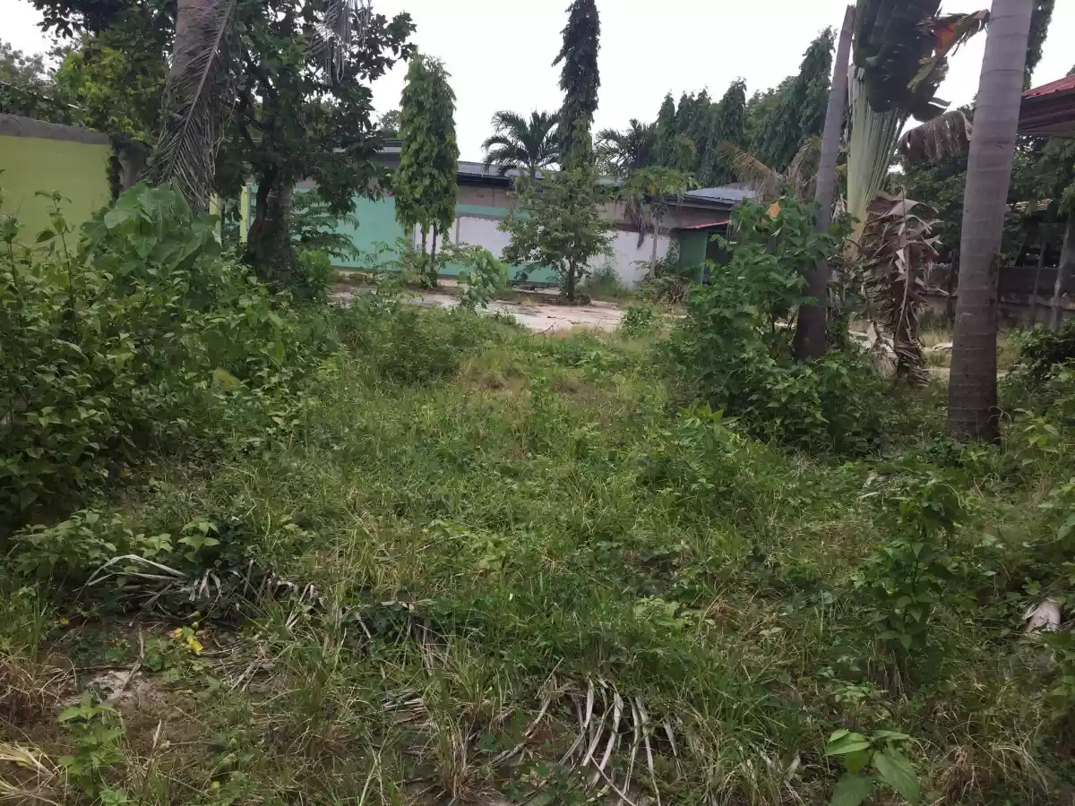 Commercial Lot for sale in Agus Lapu-Lapu City — Commercial Lot in Lapu-Lapu City, Cebu, Philippines — Photo 6