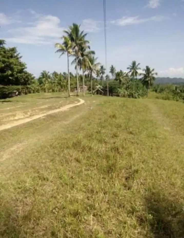 LOT FOR SALE - photo 4