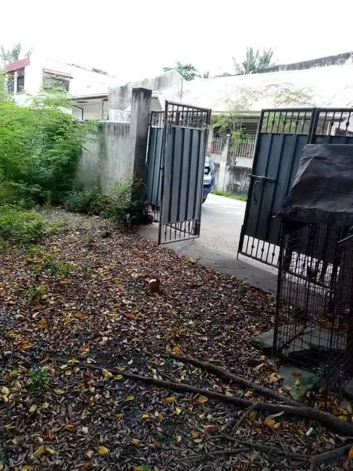 Subdivision Lot For Sale! - photo 4