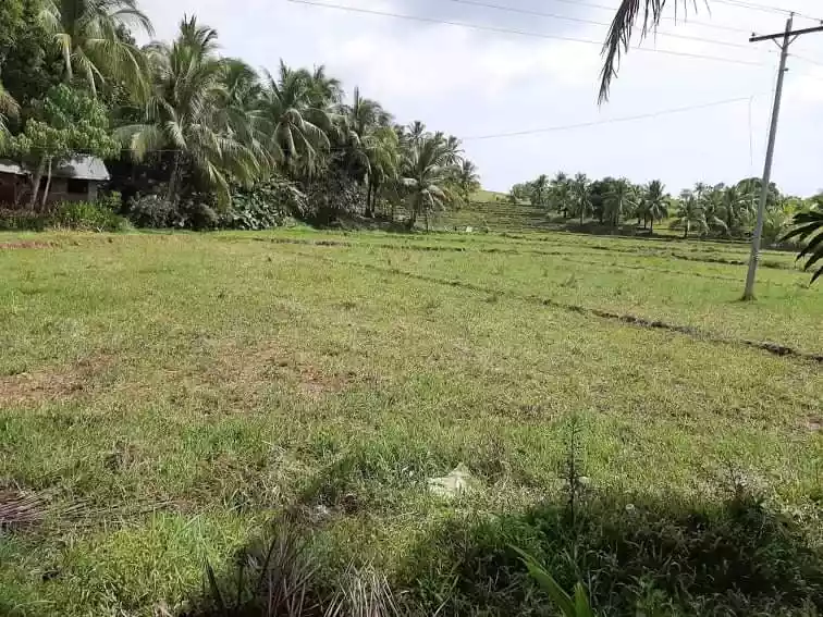 FARM LOT FOR SALE IN TAWINTAWIN, GENERAL LUNA, SIARGAO ISLANDS - photo 4