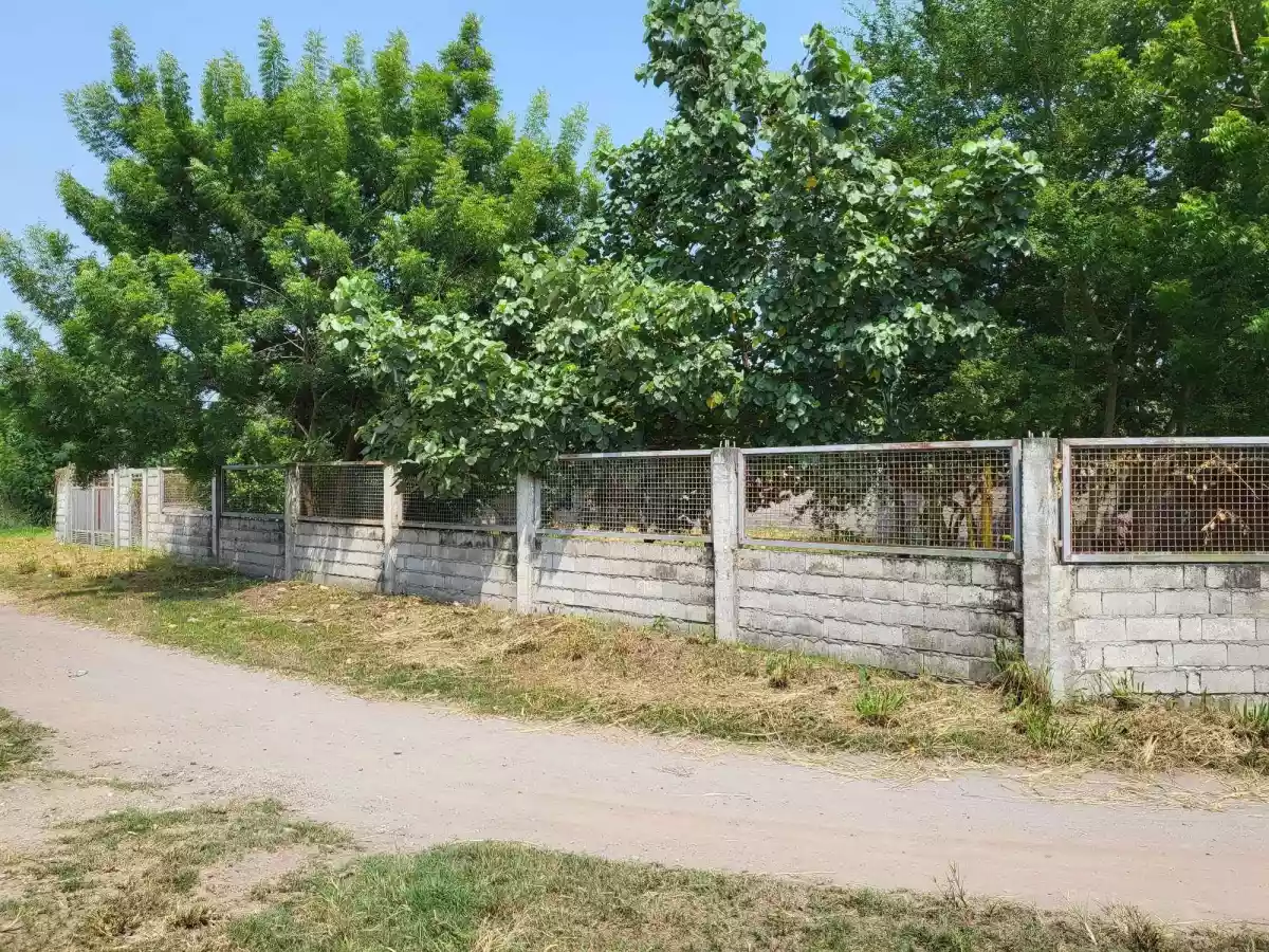 600 sqm Residential Lot at General Santos City - photo 3