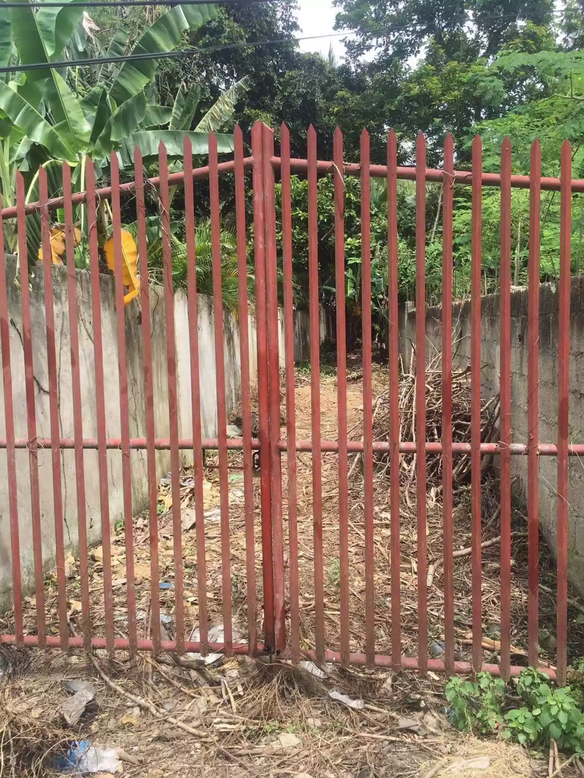 Lot for sale in Pakigne Minglanilla, Cebu — Residential Lot in Cebu, Philippines — Photo 4