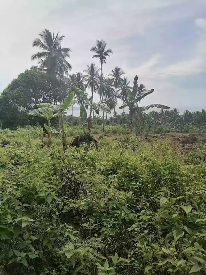 LOT FOR SALE IN MANINGCAO, SIBULAN, NEG. OR. - photo 5