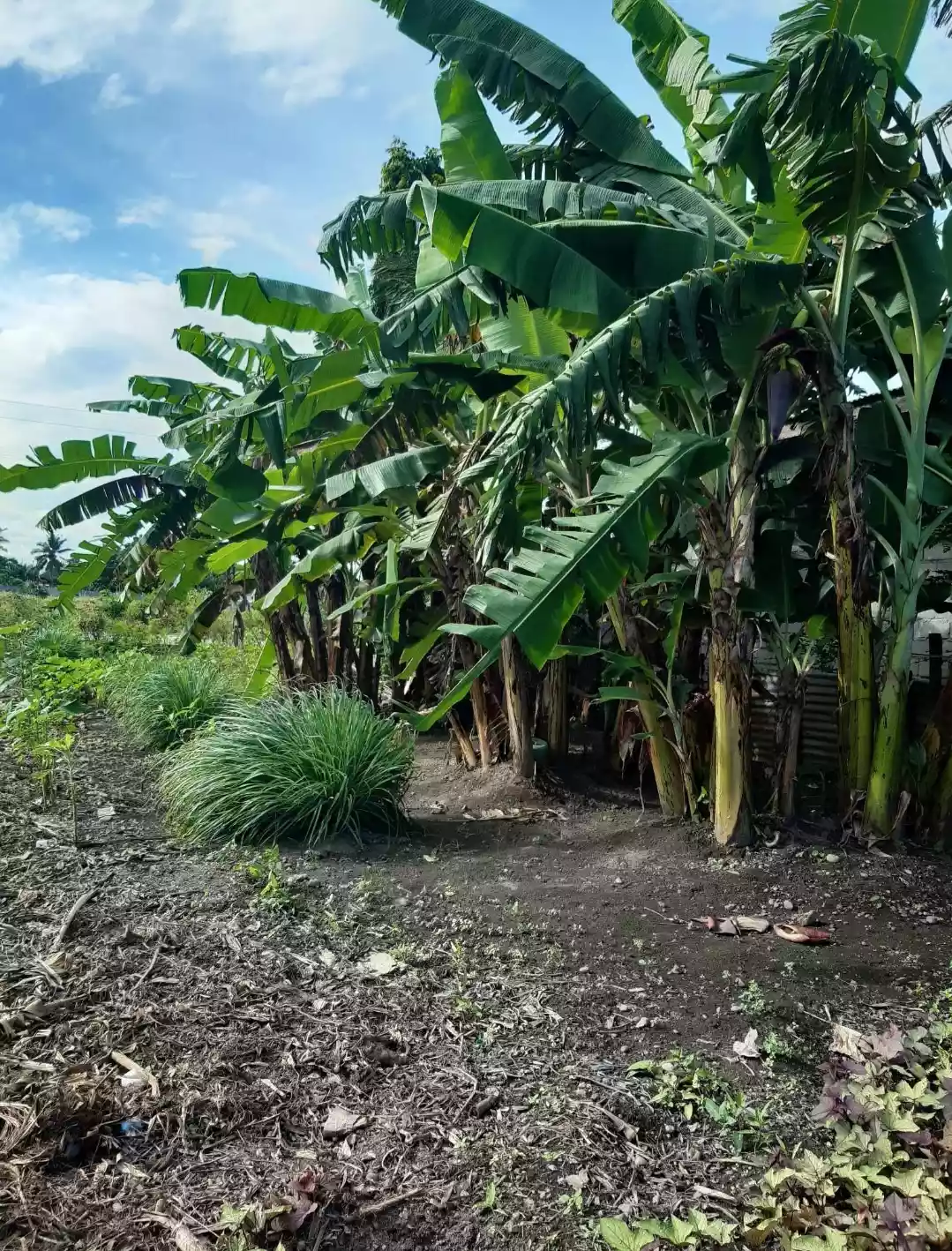 Lot For Sale — Residential Lot in General Santos City, South Cotabato, Philippines — Photo 3