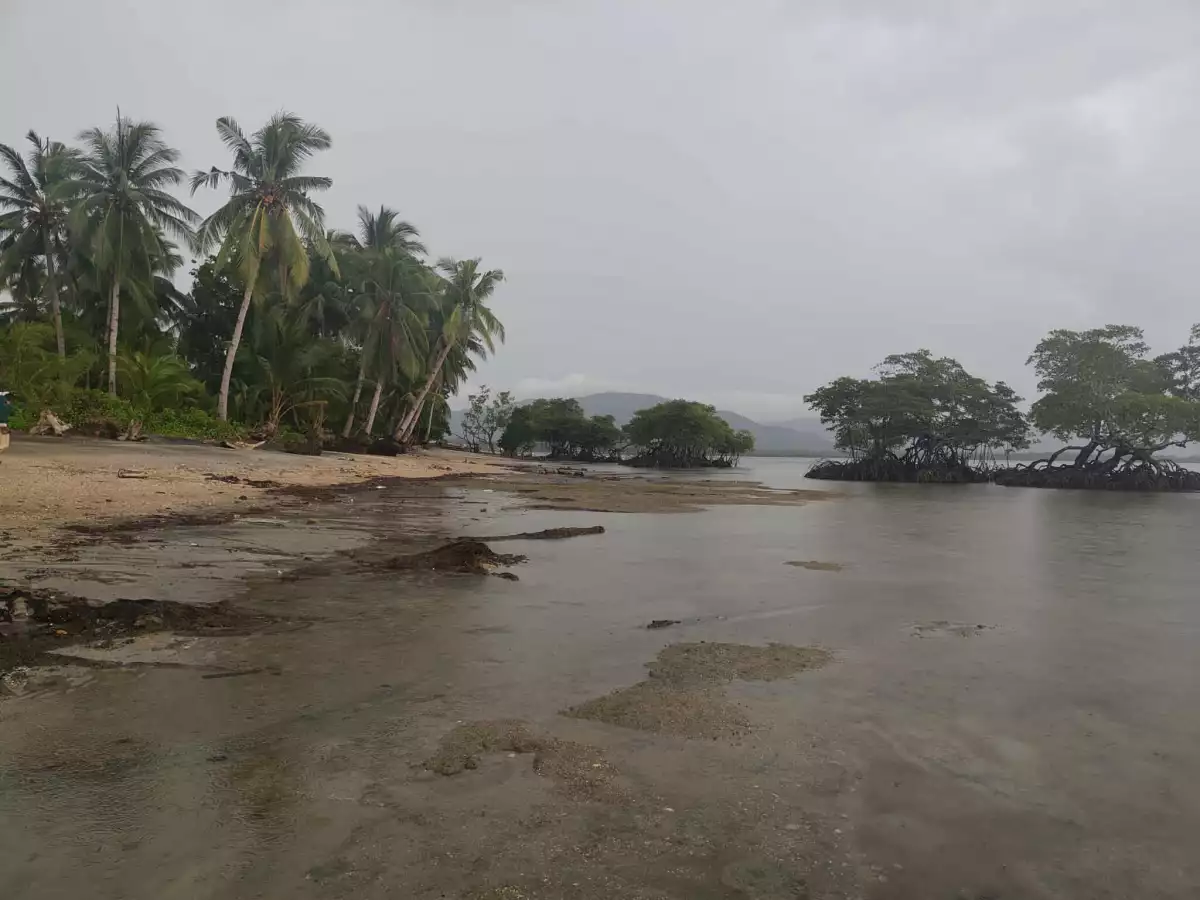 Open photo 13 of 15 — Beach Front Property for Sale (Sipalay)