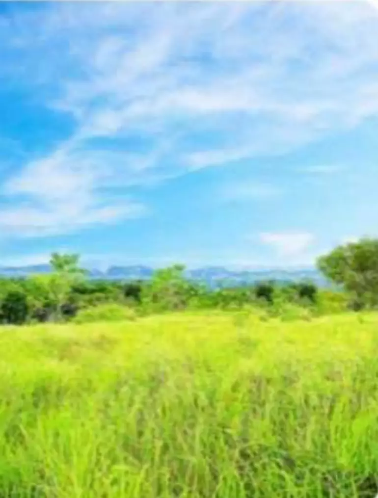 LOT FOR SALE IN GUINDULMAN, BOHOL — Agricultural Lot in Bohol Circumferential Road, Guindulman, Bohol — Photo 3