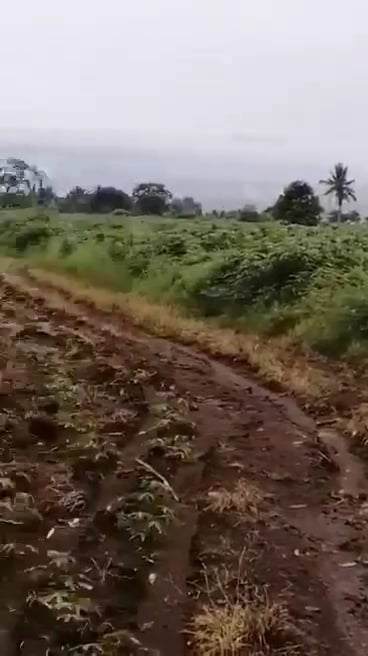 Open photo 11 of 11 — For sale Titled lot in Bukidnon