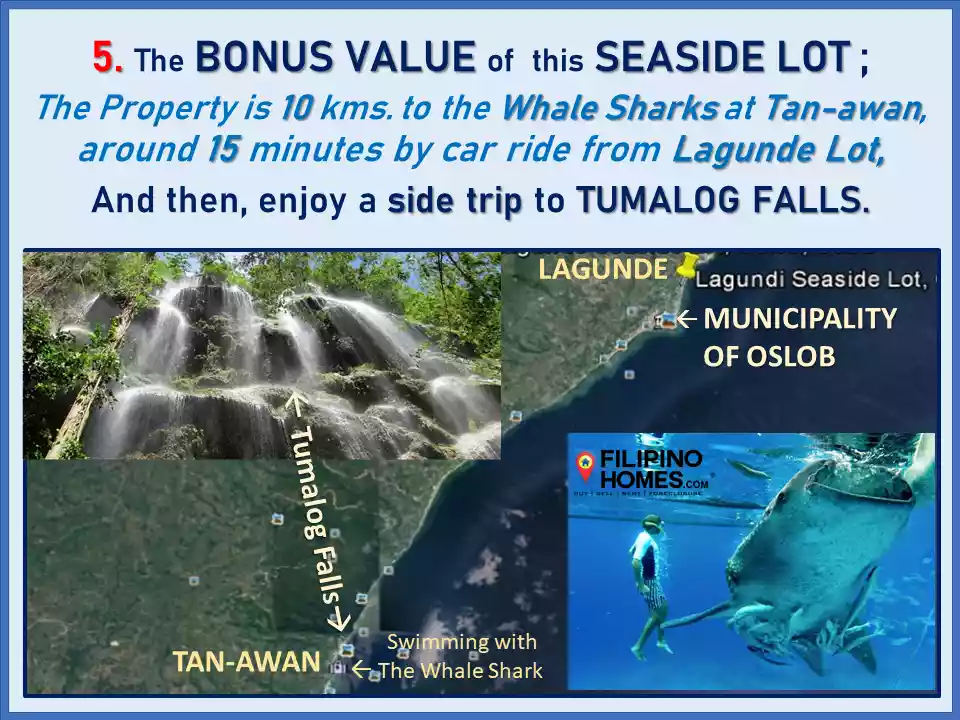 Why See the 9 PROFITABLE ADVANTAGES of this SEAFRONT LOT across Lagunde Beach at Oslob, Cebu? — Beach Lot in Cebu, Philippines — Photo 7