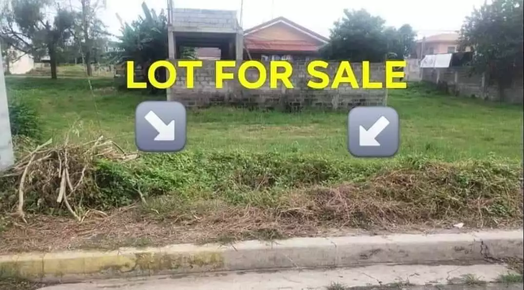 RESIDENTIAL LOT in PRIME LOCATION @ IMUS CITY, CAVITE - photo 5