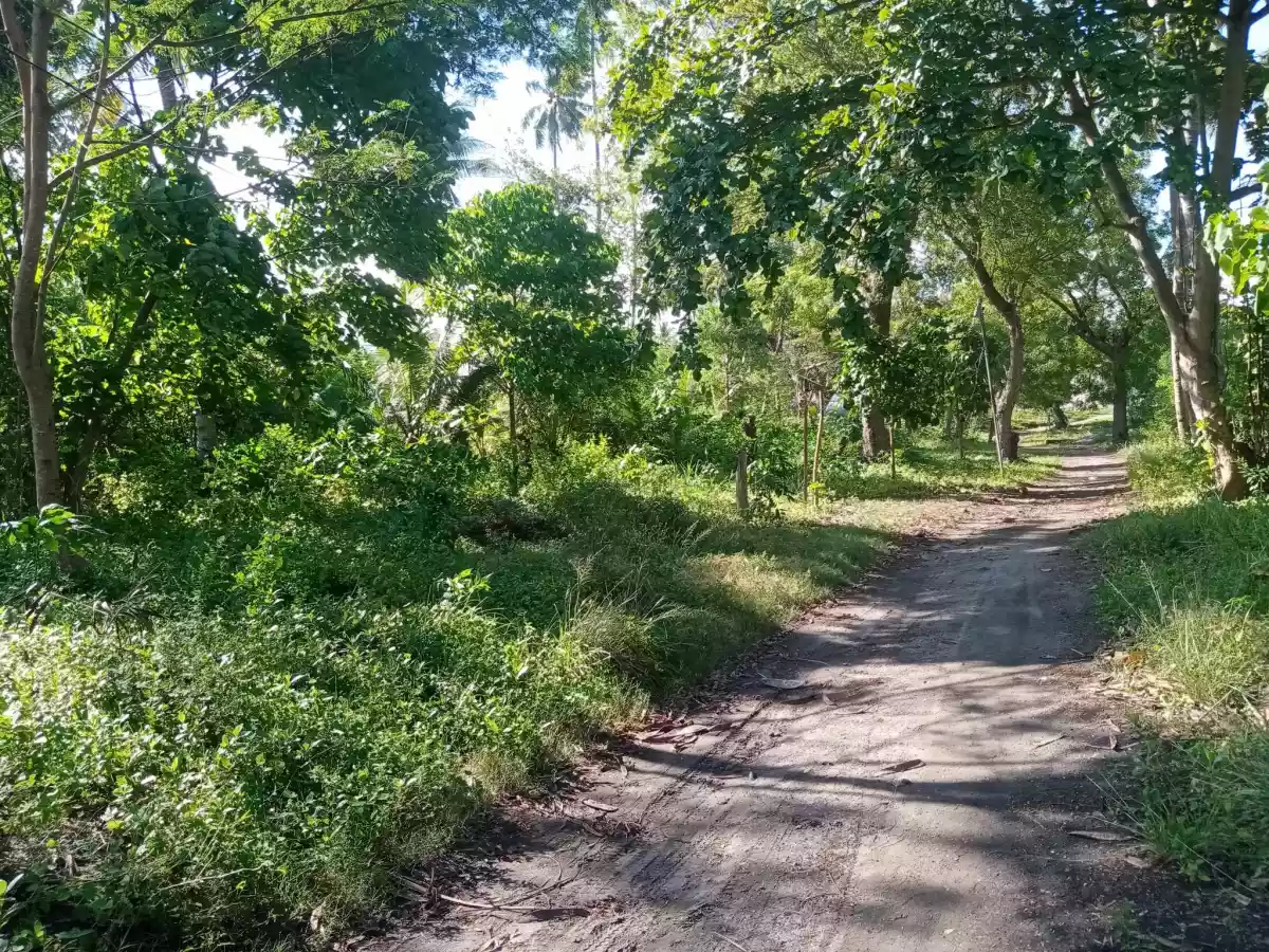 2,925sqm Along Highway Gensan Lot For Sale! — Commercial Lot in General Santos City, South Cotabato, Philippines — Photo 3