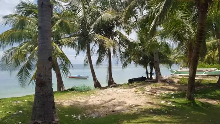 Beachlot for sale - photo 7