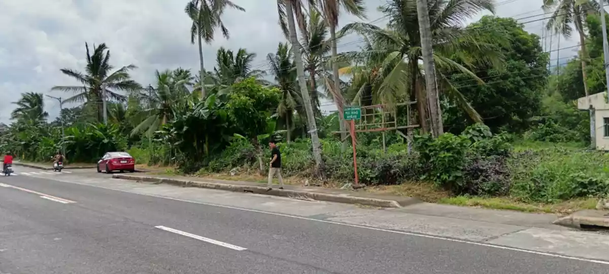 Prime Lot — Agricultural Lot in Camarines Sur, Philippines — Photo 3