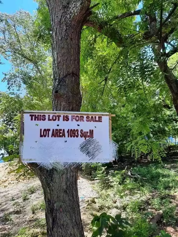 Tax Declaration — Beach Lot in Cebu, Philippines — Photo 2