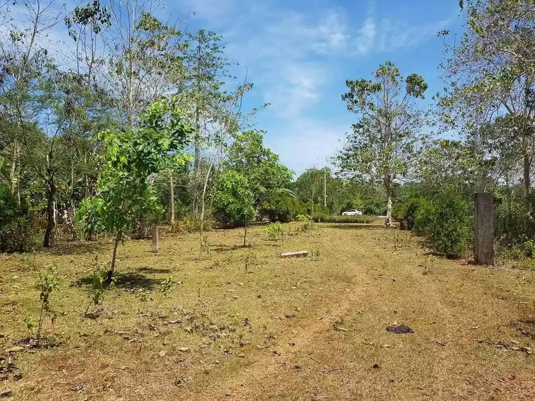 Lot For Sale 
