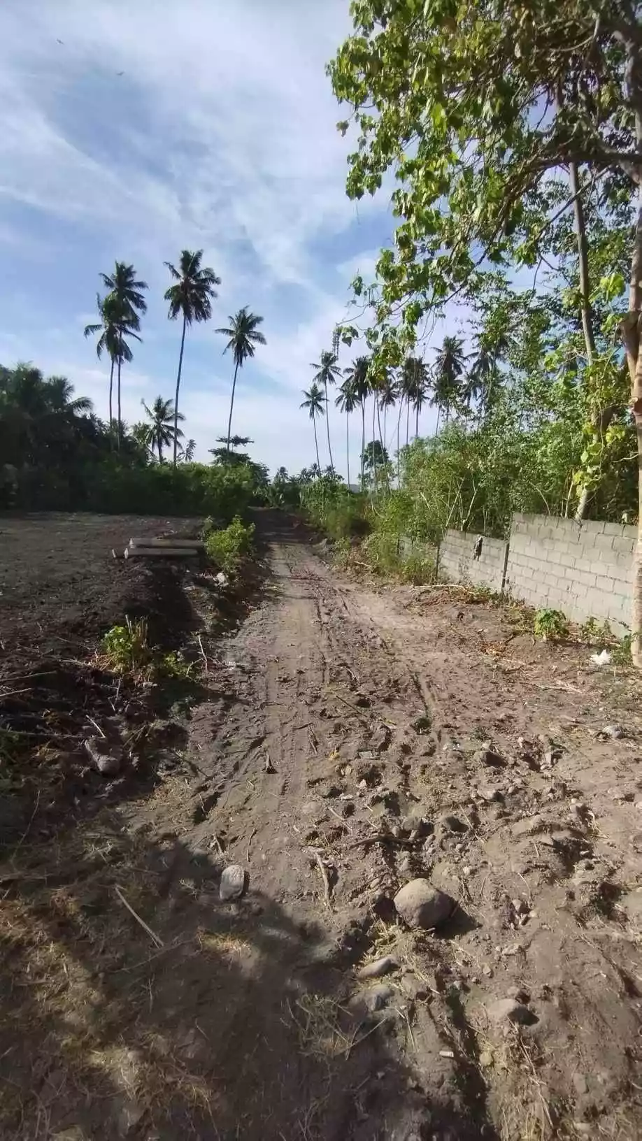 Lot For Sale Near Tropicana Beach Resort — Commercial Lot in General Santos City, South Cotabato, Philippines — Photo 2
