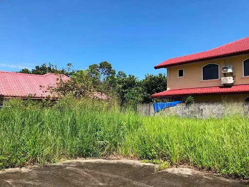 224sqm Lot in Town And Country Talisay — Residential Lot in Talisay City, Negros Occidental, Philippines — Photo 3