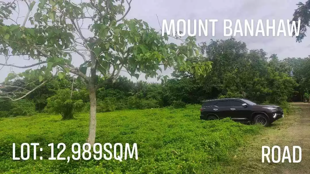 Rush Sale Farm Lot in City of Tayabas, Quezon — Agricultural Lot in Quezon, Philippines — Photo 2