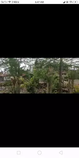 Residential Lot for Sale in Minglanilla, Cebu — Residential Lot in Cebu, Philippines — Photo 5