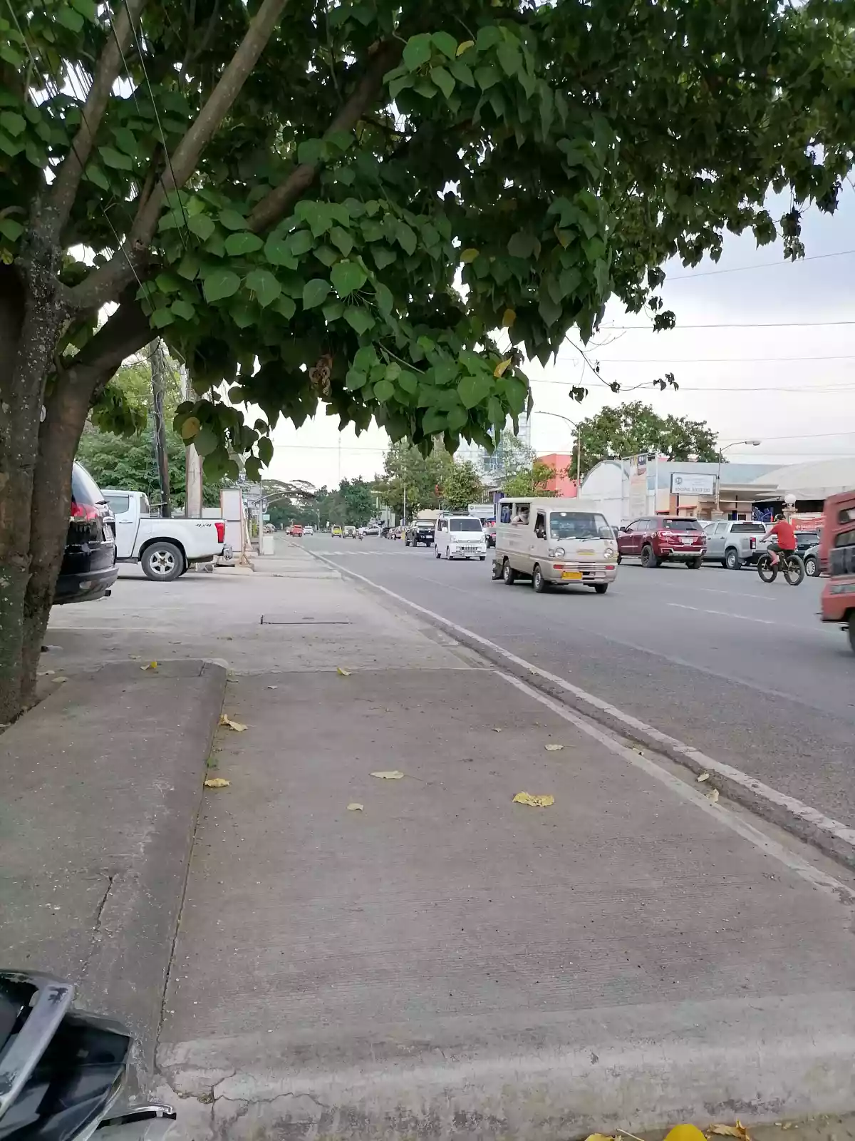 Commercial area with building