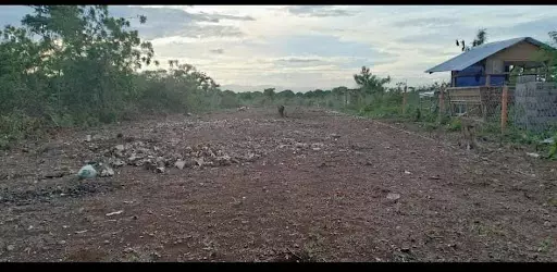 Residential Lot — Residential Lot in Lapu-Lapu City, Philippines — Photo 3