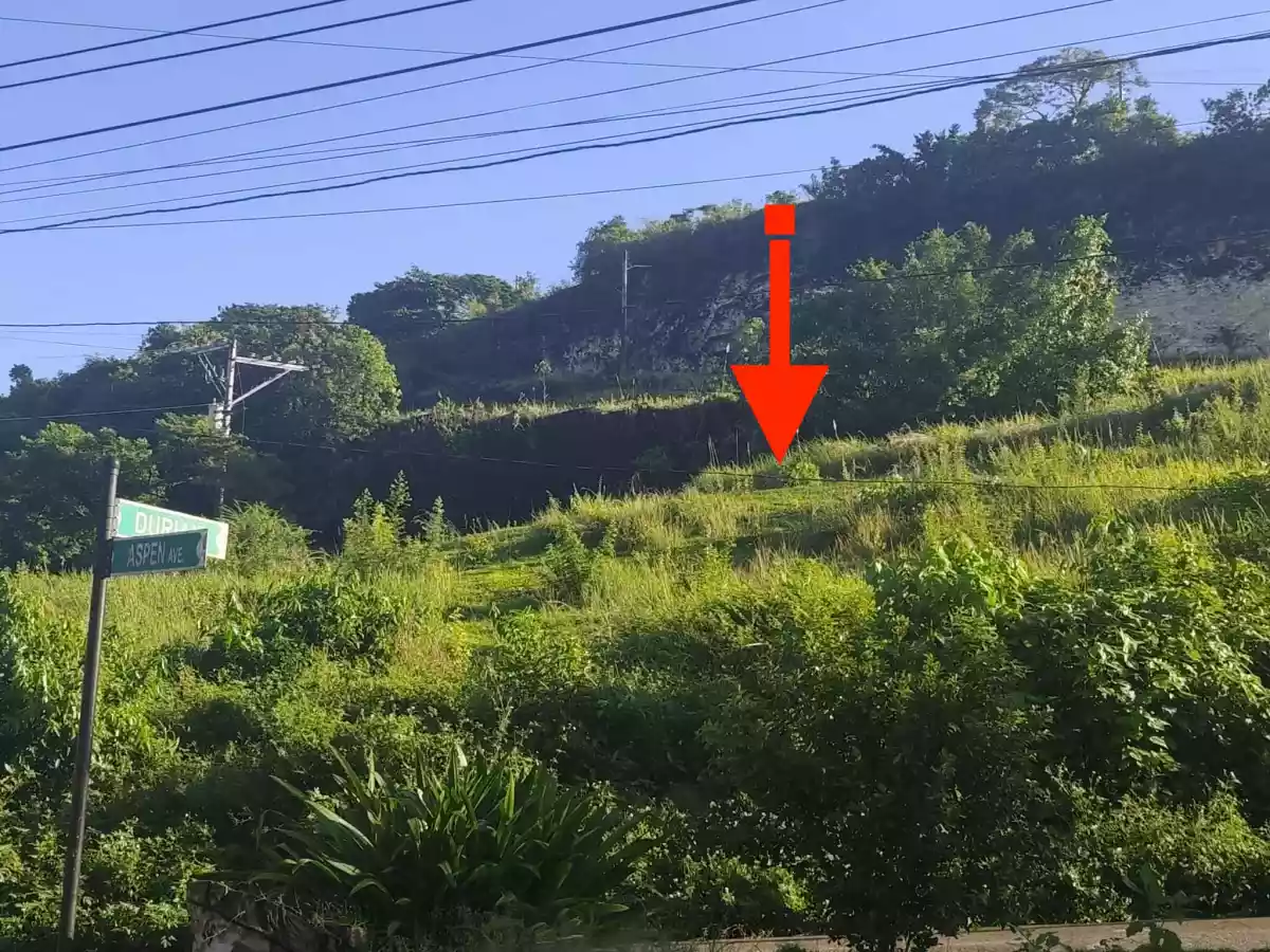 EXCLUSIVE SUBDIVISION LOT FOR SALE IN CONSOLACION CEBU — Residential Lot in Cebu, Philippines — Photo 3