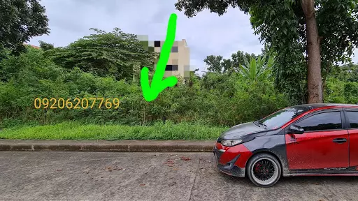Subdivision Lot inside Golden Meadows,Cordova Cebu - photo 2