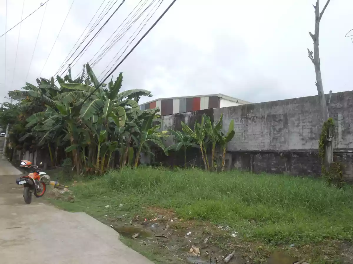 Lot for sale in Hermag Village Mandaue City