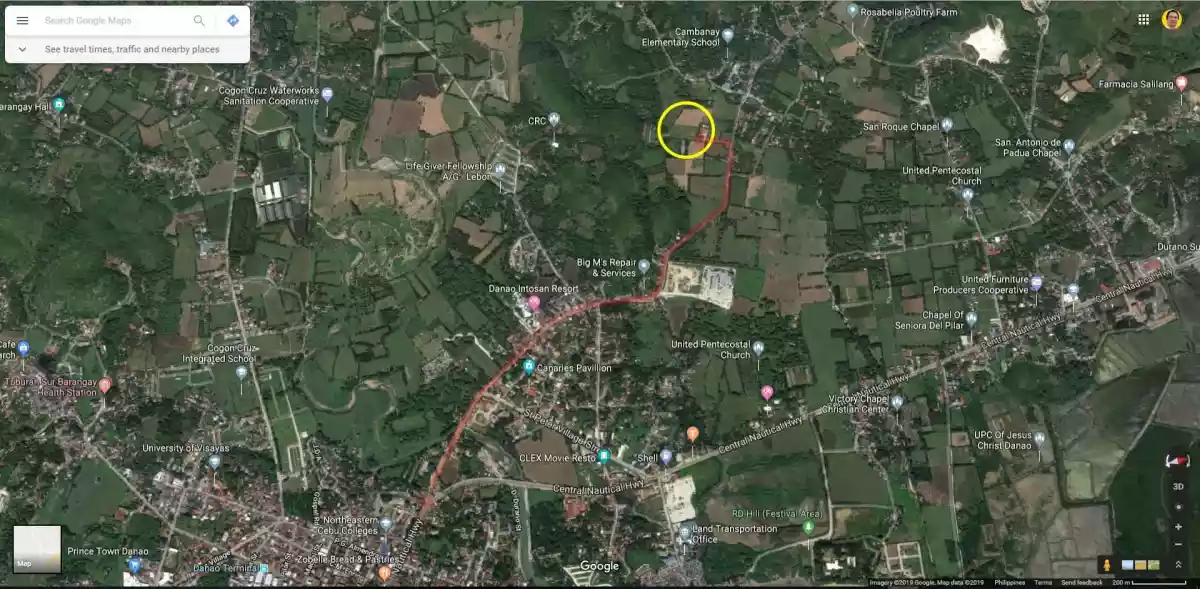 Lot For Sale in Danao, cebu - photo 6