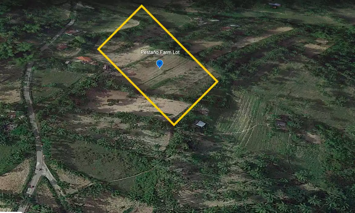 Farm Lot in Carcar — Agricultural Lot in Carcar City, Cebu, Philippines — Photo 2