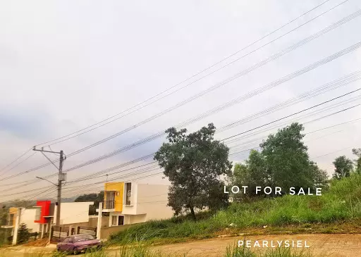 Antipolo Boundary Overlooking Lot for Sale — Residential Lot in Heron, Angono, Rizal — Photo 3