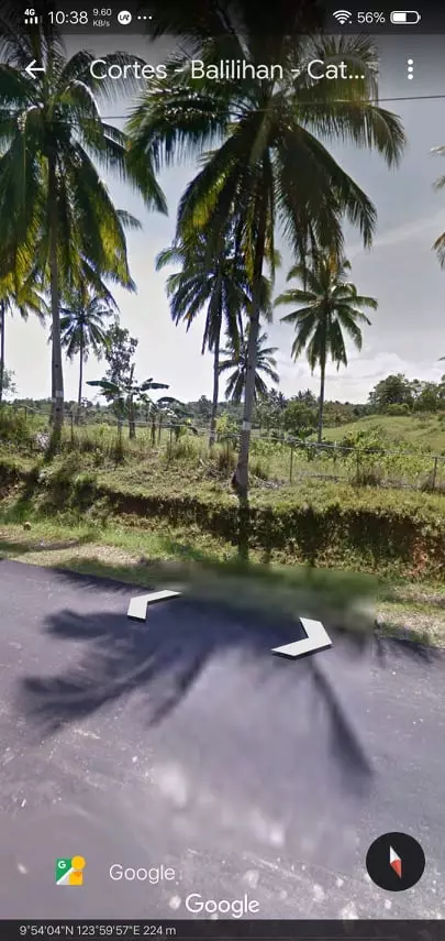 Lot for sale in Tubigon Bohol - photo 3